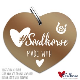 Soulhorse Brand Horse Pony Dogs Lucky Tag Horse Tag Gücksbringer Guardian Angel Saddle Heart Bridle Bridle Breastplate Keyring Talisman for Animals and People (Dream Dancer, Bronze)