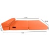 Danfuton Twin Lounger Folding Foam Mattress, Flip Sofa Bed Sit