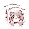 (2 Pack) Seize The Meow-Ment Magnets - Cute Kawaii Kitten