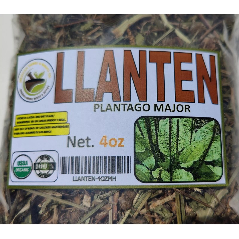 Mexican Herbs & root Llanten 4oz Plantago Mayor Plantein Hierba