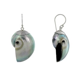 LES POULETTES BIJOUX - Sterling Silber 925 Ohrringe Nautilus Muschel - Stahlgrau