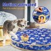 Tuiskusa Interactive Cat Toys, Fast Rolling Ball in Play Pocket,