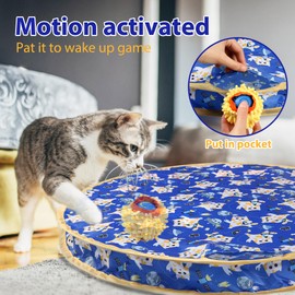 Tuiskusa Interactive Cat Toys, Fast Rolling Ball in Play Pocket, Automatic Motion Activated Moving Ball Hide and Seek Mouse Catching Game