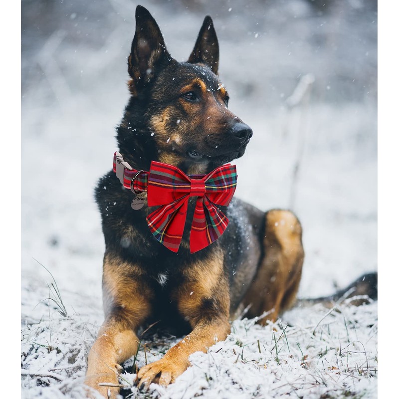 DOGWONG Christmas Dog Collar with Sailor Bow, Red Plaid Dog