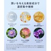  YOLU Shampoo Treatment Set Refill Relax Night Repair