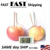 UN brand Potato Clock