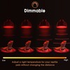 Briignite G9 Infrared Heat Lamp Bulbs for Reptile, Mini Reptile