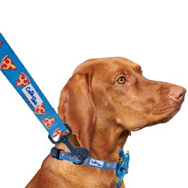 CUTIE TIES Dog Leash Pizza– Durable Nylon Material - Premium Quality Leash for Dogs - Fancy Leashes - Cute Dog Leash in Two Sizes - (Pizza, Small (5/8" x 5'))