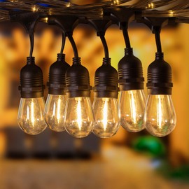 LEONLITE LED Outdoor String Lights 48FT, Summer Outdoor Decorations, Commercial Grade Copper Wire, Max Connection 6 Sets(288FT), 120V UL Plug, Clear Grey Fairy Neon Light String, 24 E26 Bulb Sockets