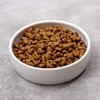 Ceramic Pet Bowl for Cats,Classic Ceramic Cat Dish Dog Bowls