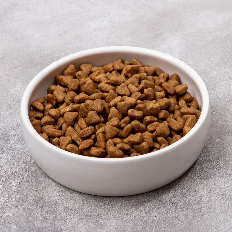 Ceramic Pet Bowl for Cats,Classic Ceramic Cat Dish Dog Bowls