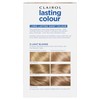 Clairol Lasting Colour Permanent Hair Dye | Perfect Grey Coverage