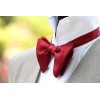 Camellucci Men's Self tied Bow Tie Maroon Silk Butterfly Bowtie