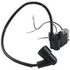 Carbhub 531147161 Ignition Coil with Spark Plug Fit for 150BT