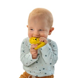 SES 13161 Lou the Lion Teether 100% Natural Rubber Multi, One Size