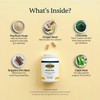 Paratoxil - Psyllium Husk Fiber Capsules for Gut Cleanse -