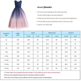 Glamulice Navy Blue Big Girl Costume Princess Sparkle Tulle Dress Flower Girls Ombre Dresses Lace Bridesmaid Party Dance Ball Gown for Wedding Pageant Holiday Photo Shoot 15 16 Blush Pink Prom Event