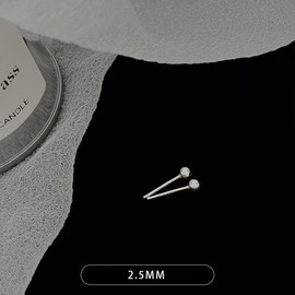 Hoop Earrings Silver 925 for Women Small Hoop Earrings Gold-Plated Rose Gold Hypoallergenic Earrings Hoop Earrings, Sterling Silver