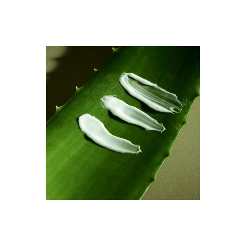 Hand Body Lotion Crema Hidratante Corporal con Aloe Vera, Aroma