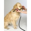 Kerbl Pet Trainings- und Erziehungsgeschirr Maxi Coach, schwarz, < 24