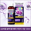 [삼부콜] 블랙 엘더베리 어린이 시럽 120ml [SamBuCo] Black Elderberry Children's Syrup 120ml