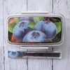 Komori Resin Lunch Box, Fresco, Separate Lunch Box, Blueberry, 16.9