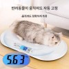 대형견체중계 동물병원 측정기 반려동물 몸무게 전자저울 무게 리트리버 애견샵 애완견