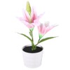 Solar LED Artificial Lily Lamp Simulation Bonsai Decor Flower Light