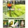 Pawfly Natural Wood Spinning Bird Standing Perch, 360 Degree Rotatable