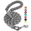 BAAPET 2/4/5/6 FT Strong Dog Leash with Comfortable Padded Handle