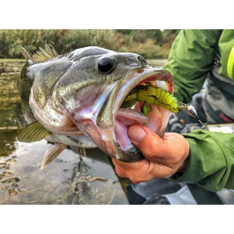 Westin CreCraw Creaturebait 8.5 cm 7 g – 5 Rubber