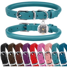 BRONZEDOG Rolled Leather Dog Collar for Small Medium Large Dogs with QR ID Tag (XS: 9-11 Inch, Teal)