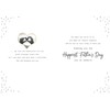 Piccadilly Greetings Photo Father's Day Card Husband - 10 x