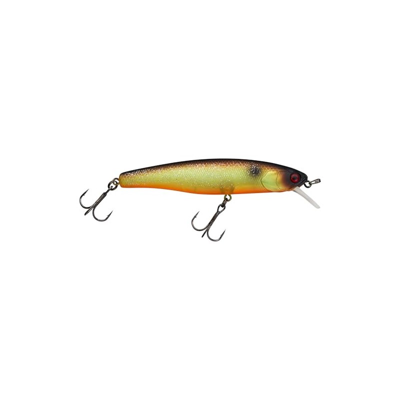 Illex Poisson Nageur Arnaud 100 F - 10cm - 16g