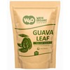 Guava Tea Bags, Dried Tender Leaves Tea, 30 Count, Pleasant