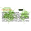 Shampoo Orgánico Y Ecológico Ewé Iré - 500ml