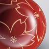Kosei A-06 Echizen Lacquerware Echizen Lacquerware Bowl, Couple, Soup Bowl,