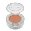 MAC Cosmetics Eye Shadow - Paint By Umber (.05 Oz/1.5g.)