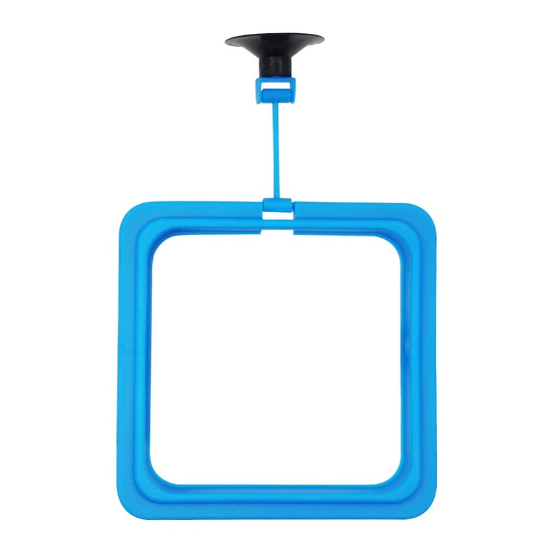 Fish Feeding Ring Floating Food Feeder Circle with Suction Cup