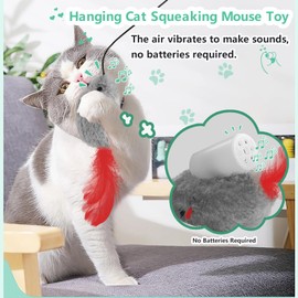 FYNIGO Self Play Cat Toys,2 Pack Door Hanging Cat Mouse Toy with Squeaky Sound,No Batteries Required,Interactive Cat Enrichment Toys for Bored Indoor Adult Cats,Cat Boredom Toys Mice with Feather Tail