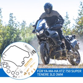 Dokili Carburettor Repair Kit, Carburettor Recovery Fixing Kit, Carburettor Maintenance Tool Suitable for TDM 850 / TDM 850 N/XTZ 750H / XTZ 750 R