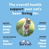 Cat Multivitamin - Promotes Healthy Skin & Coat, Joint Support,