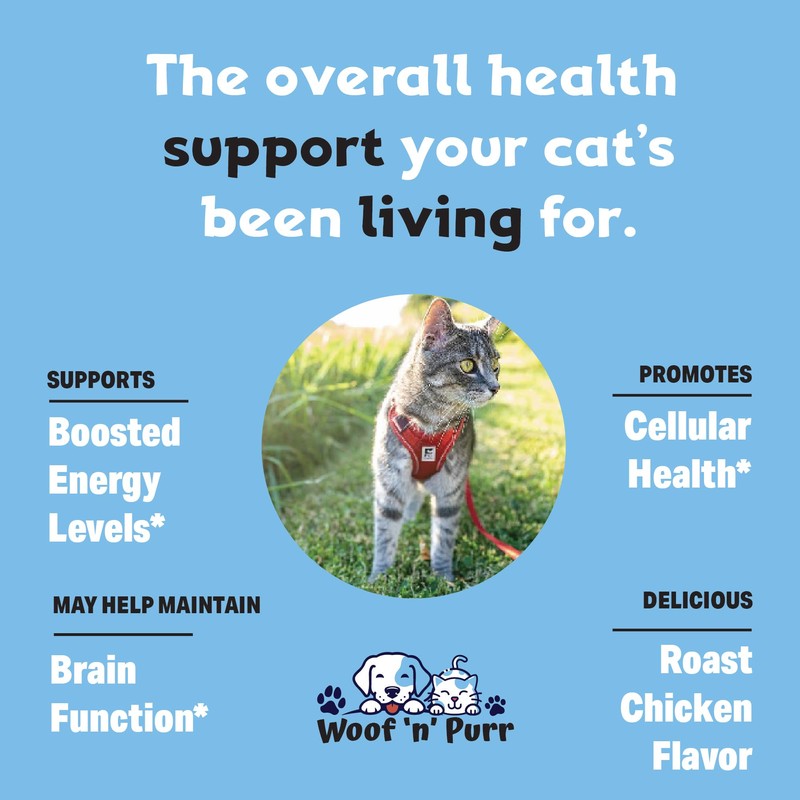 Cat Multivitamin - Promotes Healthy Skin & Coat, Joint Support,