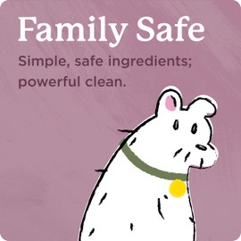 Shaw Floors Concentrate Hard Surface Cleaner | 32 Fl Oz Bottle (Pack of 2) | Multi-Surface Cleaner for Hardwood, Vinyl, Tile, Ceramic, and Laminate Floors | Streak-Free, Residue-Free Formula