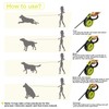 Pecute Dog Lead, Large Retractable 5-Metre Dog Lead With Luminous