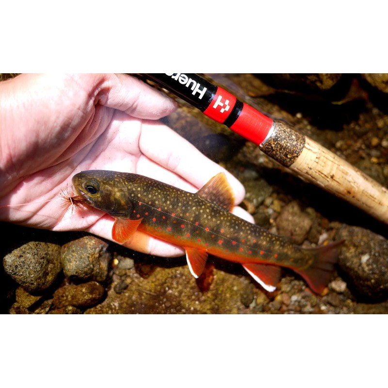 Huerco 12-Piece Fuelco NB300 Stream Rod