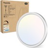 hepside 1PACK Flush Mount LED Ceiling Light Fixture Brushed Nickel,