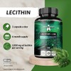 Lecithin 1200mg with Vitamin E - 180 Softgel Capsules -