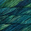 Malabrigo Rasta Yarn: Solis, 809, 2896