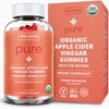 WellPath Organic Apple Cider Vinegar Gummies with The Mother - USDA Organic ACV Gummies - Ginger & Apple Cider Vinegar with Mother for Gut Health - Vegan, Non-GMO, 60 Ct
